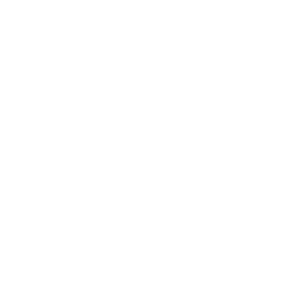 XENSE LOGO